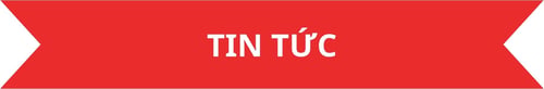 tin-tuc-tet-doan-vien